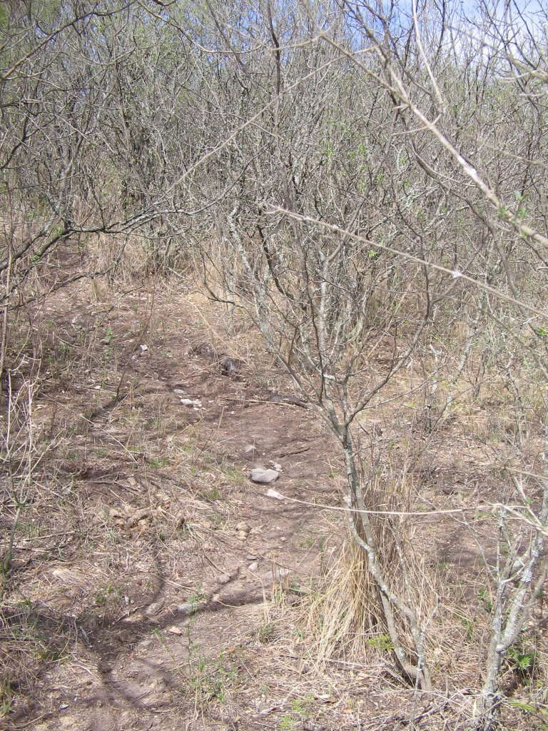 alemania-071
