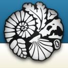 imagen-paleo2