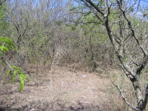 alemania-078 alemania-078