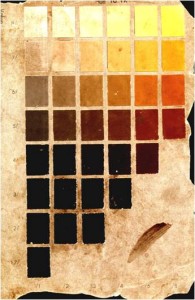 Figura 1, Hoja de la tabla Munsell