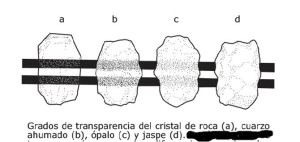 Imagen1