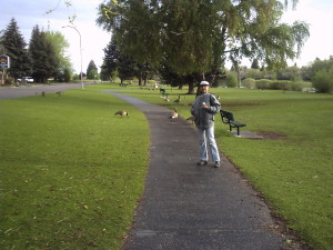 PICT0064