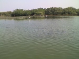 19-02-10_1150